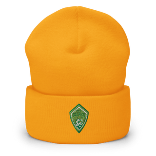 AFC Colorado Dragons 48470583 Cuffed Beanie | Yupoong 1501KC