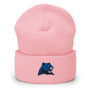 Marion C Early R-5 High School Cheer 22257490 Cuffed Beanie | Yupoong 1501KC