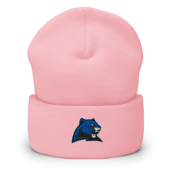 Marion C Early R-5 High School Cheer 22257490 Cuffed Beanie | Yupoong 1501KC