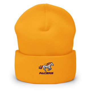 Plaza Park 7264543 Cuffed Beanie | Yupoong 1501KC