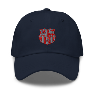 TX HEAT 2370396 Classic Dad Hat | Yupoong 6245CM