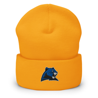 Marion C Early R-5 High School Cheer 22257490 Cuffed Beanie | Yupoong 1501KC