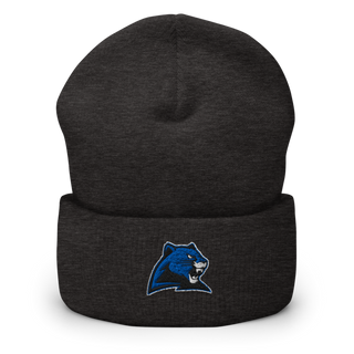 Marion C Early R-5 High School Cheer 22257490 Cuffed Beanie | Yupoong 1501KC