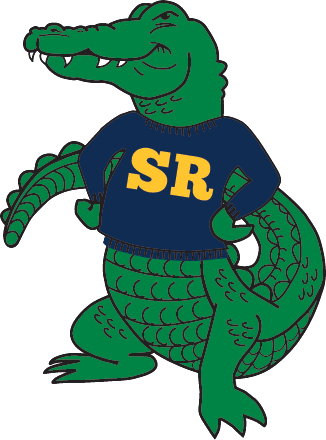 gators Stainless Steel Water Bottle with a Straw Lid