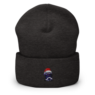 Flava107.Com 43004719 Cuffed Beanie | Yupoong 1501KC