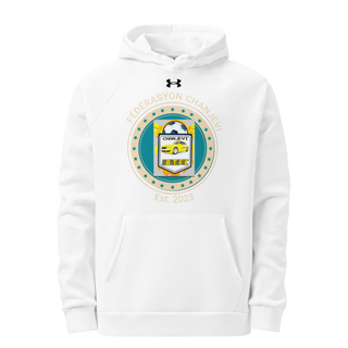 BTFC 7684024 Under Armour Hoodie