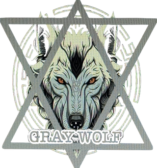Gray Wolf 93309237 Stainless Steel Water Bottle with a Straw Lid