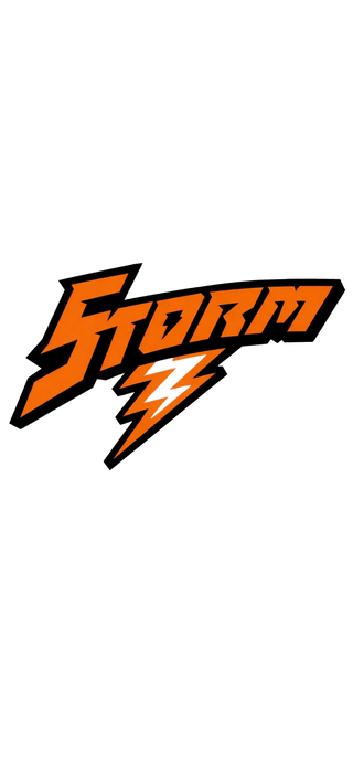 Storm Stainless Steel Water Bottle with a Straw Lid