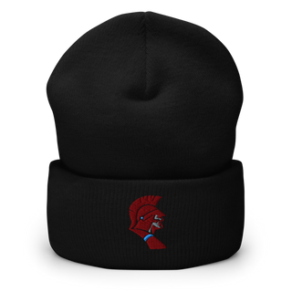 Saint Joseph-Ogden High School Soccer Cuffed Beanie | Yupoong 1501KC