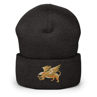 The Palmdale Aerospace Academy Cross Country 45679690 Cuffed Beanie | Yupoong 1501KC