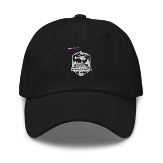 D CO, 3/140th AVN Classic Dad Hat | Yupoong 6245CM