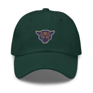 South Mountain Community College Softball 20781572 Classic Dad Hat | Yupoong 6245CM