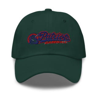 Lenape Valley Patriots 53127834 Classic Dad Hat | Yupoong 6245CM