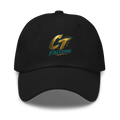 Ct falcons Dad hat