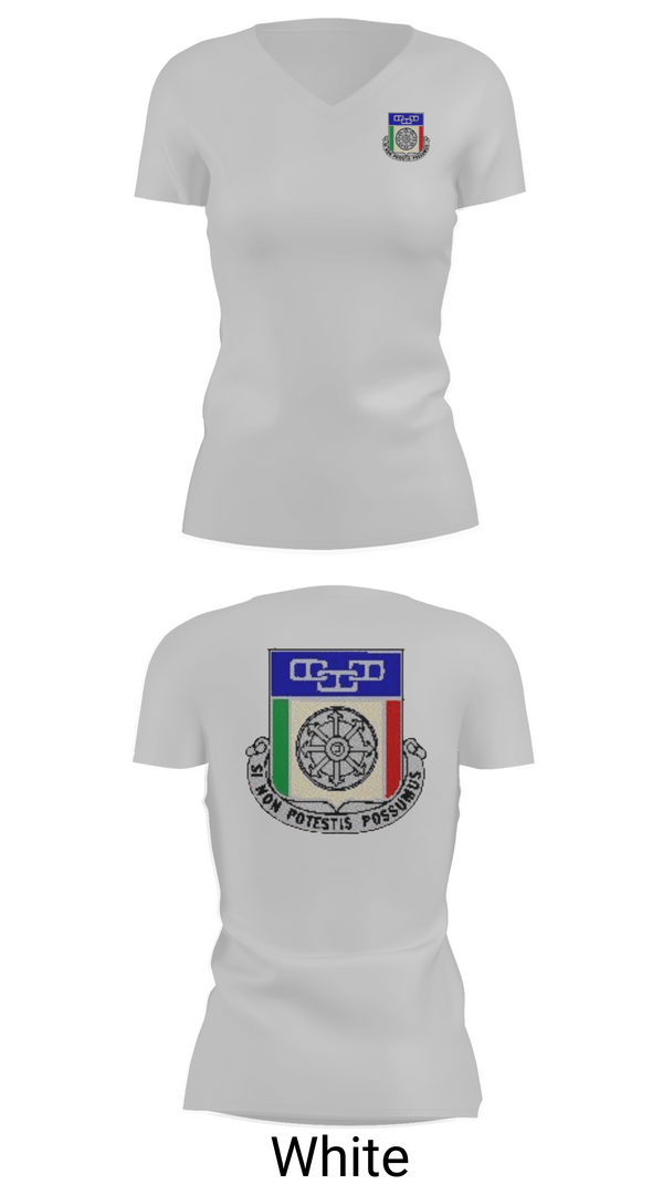 Womens Short Sleeve Vneck Shirt, 244th QUARTERMASTER BATTALION, Army, Teamtime, Team time, sublimation, custom sports apparel, team uniforms, spirit wear, spiritwear, sports uniforms, custom shirts, team store, custom team store, fundraiser sports, apparel fundraiser
