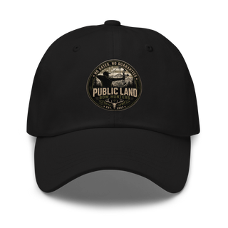 Dad hat - Black