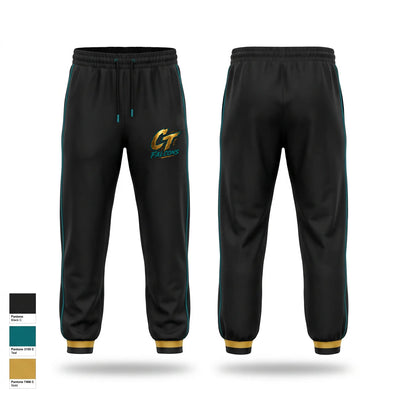 Ct falcons Sweatpants - 3