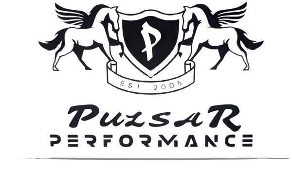 pulsar performance Stainless Steel Water Bottle with a Straw Lid