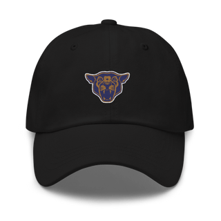 South Mountain Community College Softball 20781572 Classic Dad Hat | Yupoong 6245CM