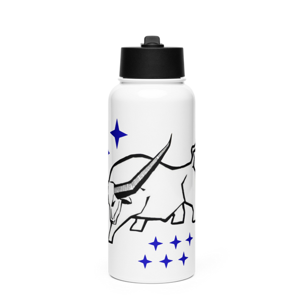 HSC-26 77266694 Stainless Steel Water Bottle with a Straw Lid