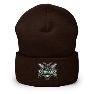 STINGERZ 4730031 Cuffed Beanie | Yupoong 1501KC