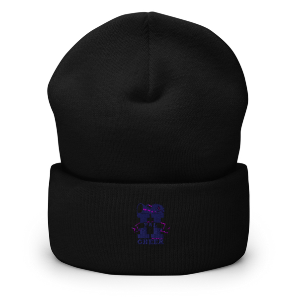 Hamilton PAL Cheer 7718803 Cuffed Beanie | Yupoong 1501KC