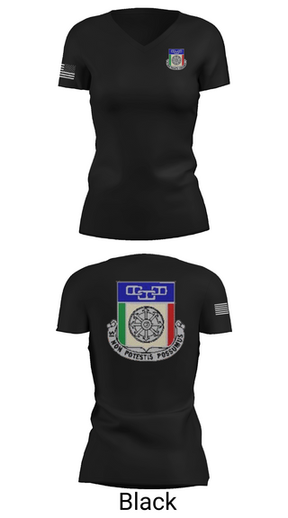 Womens Short Sleeve Vneck Shirt, 244th QUARTERMASTER BATTALION, Army, Teamtime, Team time, sublimation, custom sports apparel, team uniforms, spirit wear, spiritwear, sports uniforms, custom shirts, team store, custom team store, fundraiser sports, apparel fundraiser