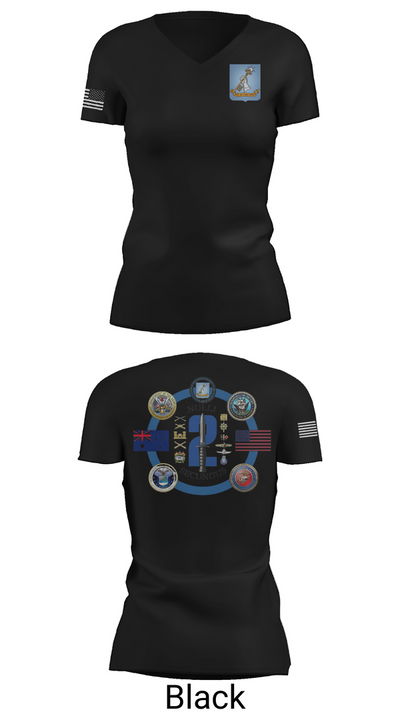 AMSP Sem 2 60045387 Women's Short Sleeve V-neck Shirt - 28