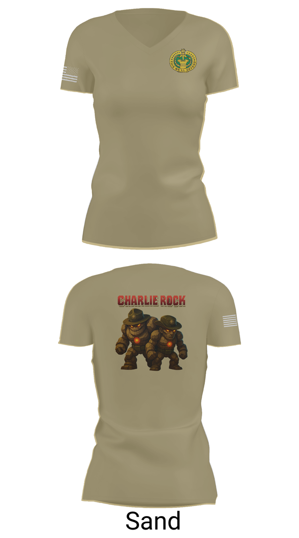Womens Short Sleeve Vneck Shirt, C 787, , Teamtime, Team time, sublimation, custom sports apparel, team uniforms, spirit wear, spiritwear, sports uniforms, custom shirts, team store, custom team store, fundraiser sports, apparel fundraiser