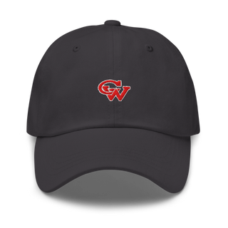Washington Track & Field 76094298 Classic Dad Hat | Yupoong 6245CM