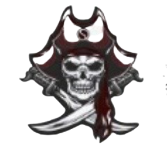 PIRATES Stainless Steel Water Bottle with a Straw Lid