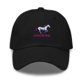 Plaza Park Dad hat