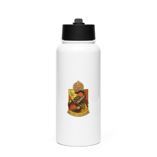 Battleborn Stainless Steel Water Bottle with a Straw Lid