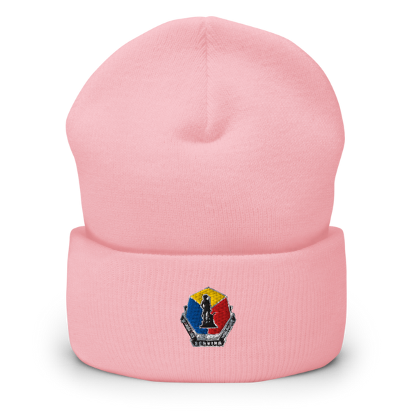 Camp Crowder HHC 95962479 Cuffed Beanie | Yupoong 1501KC
