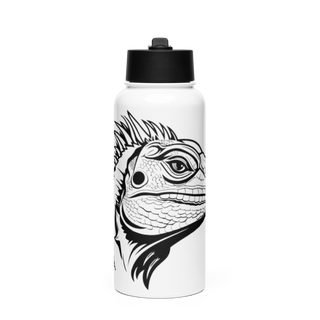 Controversè Stainless Steel Water Bottle with a Straw Lid