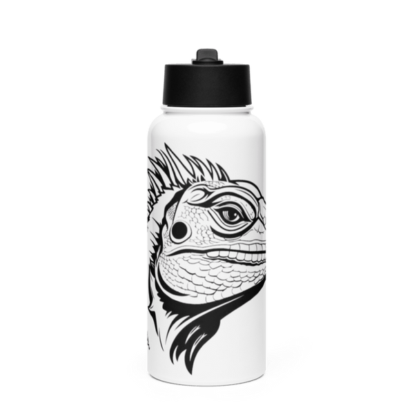 Controversè Stainless Steel Water Bottle with a Straw Lid