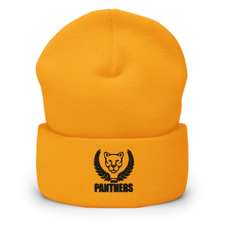 Panthers 50004080 Cuffed Beanie | Yupoong 1501KC