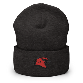 BHS Hawks Dance Team 44132448 Cuffed Beanie | Yupoong 1501KC