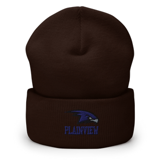 Plainview Hawks 8354559 Cuffed Beanie | Yupoong 1501KC