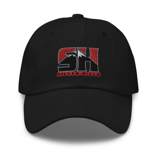 SILVER HILLS MS 4850987 Dad Hat -1
