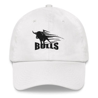 Sarasota Suncoast Academy 29121849 hat - 1