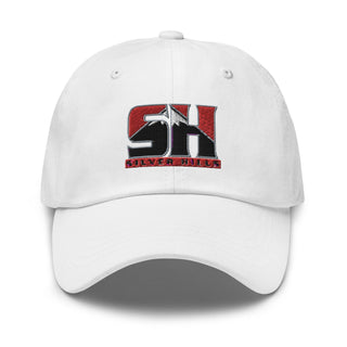 SILVER HILLS MS 4850987 Dad Hat -1