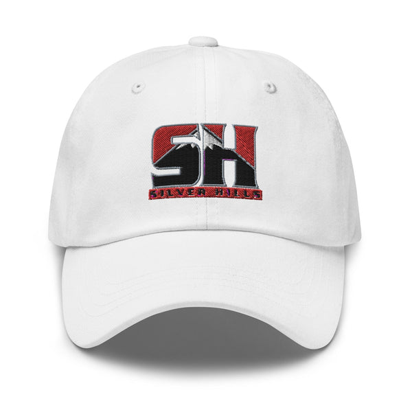 SILVER HILLS MS 4850987 Dad Hat -1