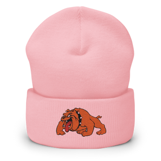 Davenport 34127187 Cuffed Beanie | Yupoong 1501KC