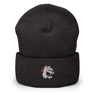 La Plata R-2 Cross Country 78923726 Cuffed Beanie | Yupoong 1501KC