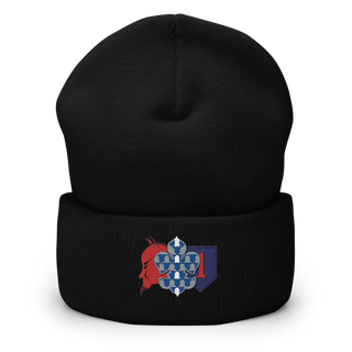 3-66 AR 33931527 Cuffed Beanie | Yupoong 1501KC