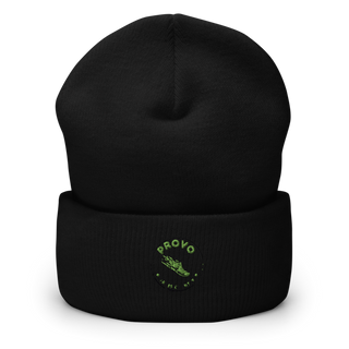 Provo 70425817 Cuffed Beanie | Yupoong 1501KC