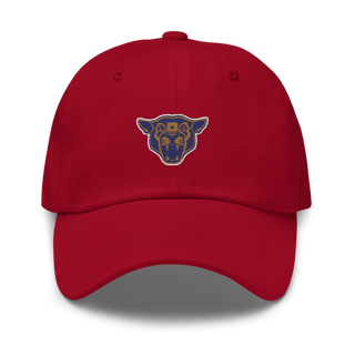 South Mountain Community College Softball 20781572 Classic Dad Hat | Yupoong 6245CM