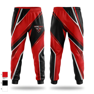 Team Silk Sweatpants - 1