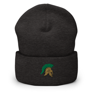 Aurora Central High School Dance 42464760 Cuffed Beanie | Yupoong 1501KC
